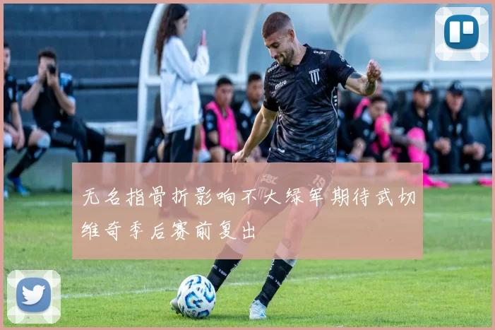 无名指骨折影响不大绿军期待武切维奇季后赛前复出