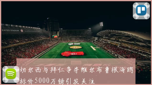 切尔西与拜仁争夺维尔布鲁根海鸥标价5000万镑引发关注