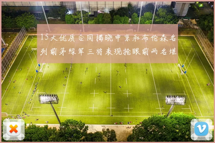 15大优质合同揭晓申京和布伦森名列前茅绿军三将表现抢眼前两名堪称传奇