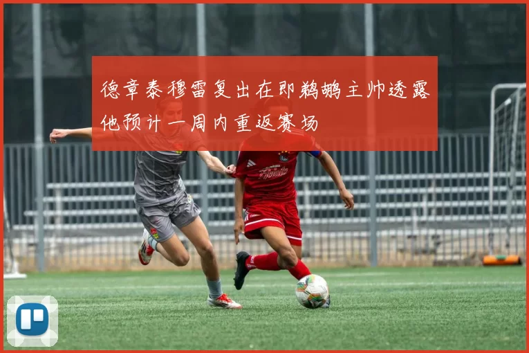 德章泰穆雷复出在即鹈鹕主帅透露他预计一周内重返赛场